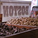 Michele North Photo 10