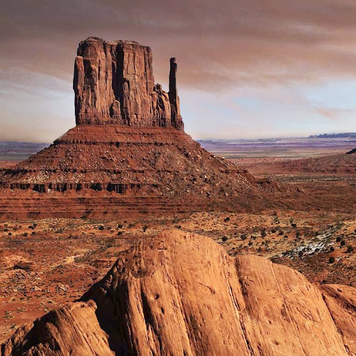 Anthony Flowers Photo 35