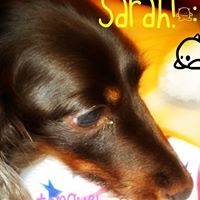 Sarah Pelham Photo 22