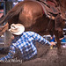Rebecca Wiley Photo 25