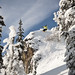 Aaron Robinson Photo 7