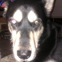 Jeffrey Flanagan Photo 22