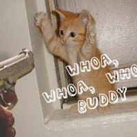 Joe Webster Photo 38