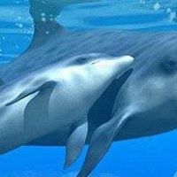 Shirley Ivy Photo 20