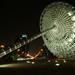 Lon Light Photo 8