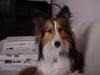 Karen Williamson Photo 12
