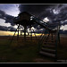 Alejandro Lagunas Photo 23
