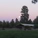 Debra Hopkins Photo 21