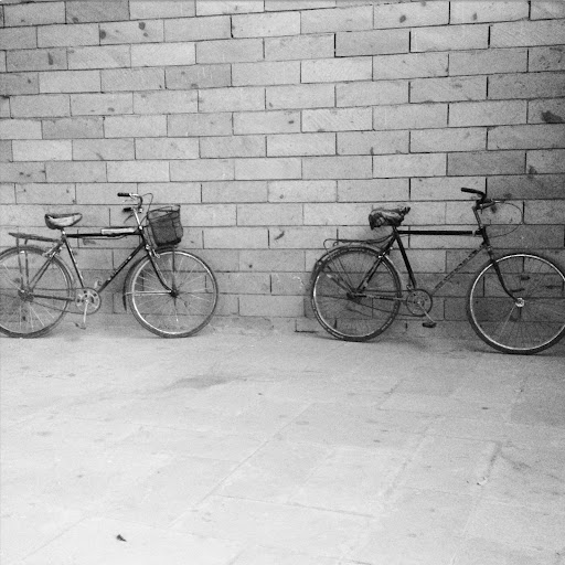 Julie Sampson Photo 41