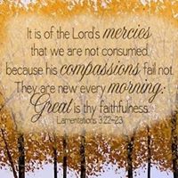 Beverly Allen Photo 20