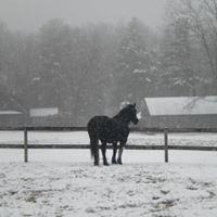 Kathryn Mccullough Photo 18