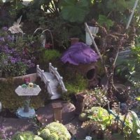 Lisa Samuelson Photo 16