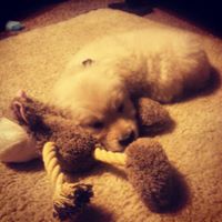 Terence Powell Photo 30