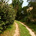 Pauline Malcolm Photo 12