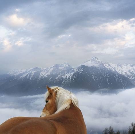 Carol Murray Photo 26