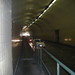 Robert Levy Photo 47