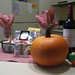 Sondra Lester Photo 7