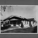 Irene Warren Photo 23