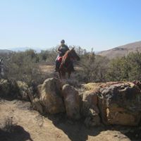 Teresa Spencer Photo 8