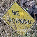 Anne Meadows Photo 30