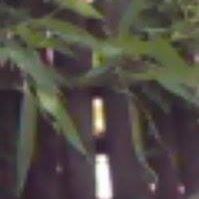 Regina Hill Photo 19