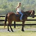 Traci Greene Photo 35