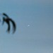 John Chabot Photo 13