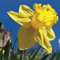 Megan Applegate Photo 15