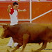 David Cortes Photo 26