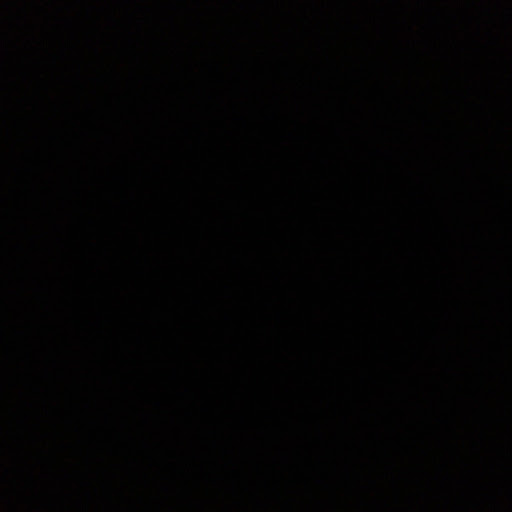 William Stein Photo 15