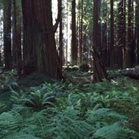 Joseph Cox Photo 26