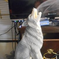 Cathy Potts Photo 21