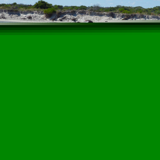 Kerry Thomas Photo 46 Kerry Thomas Photo 46