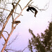 Rick Rees Photo 14
