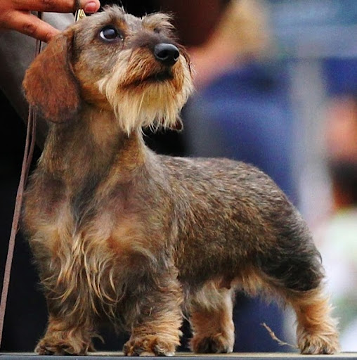 Laura Garrett Photo 21