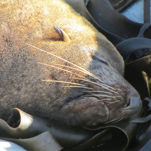 Susan Perrin Photo 14