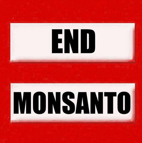 Stacy Pearson Photo 27