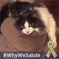 Kristina Tanner Photo 10