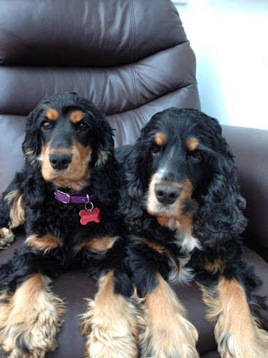 Paula Haynes Photo 19