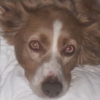 Kathy Horton Photo 7