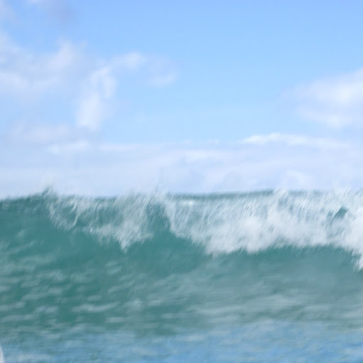 Dan Maxwell Photo 29