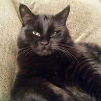 Robin Waller Photo 14