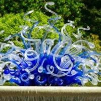 Janet Dougherty Photo 8