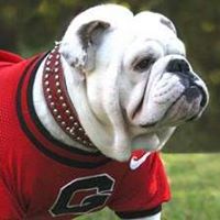 Fred Bacon Photo 17 Fred Bacon Photo 17