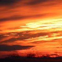 Sheryl Jarvis Photo 7