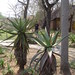 Sandy Hahn Photo 40
