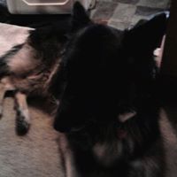 Lea Robinson Photo 19