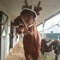 Tracy Venier Photo 2