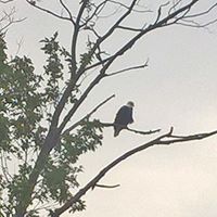 Peggy Erickson Photo 16