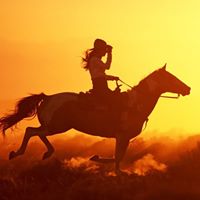 Paula Cooke Photo 10